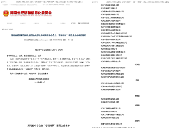 湖南省中小企業“專精特新”示范企業